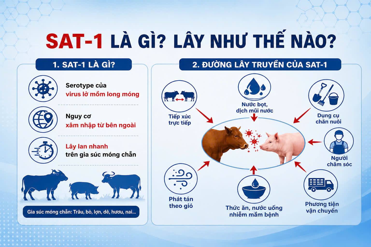 lở mồm 1